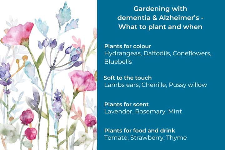 gardening with dementia plants guide