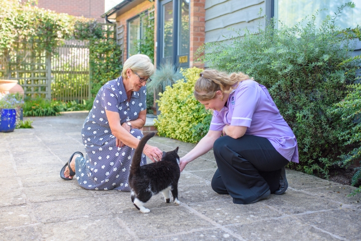 Caring for Pets and Older Adults: A Guide to Living Well Together at Home